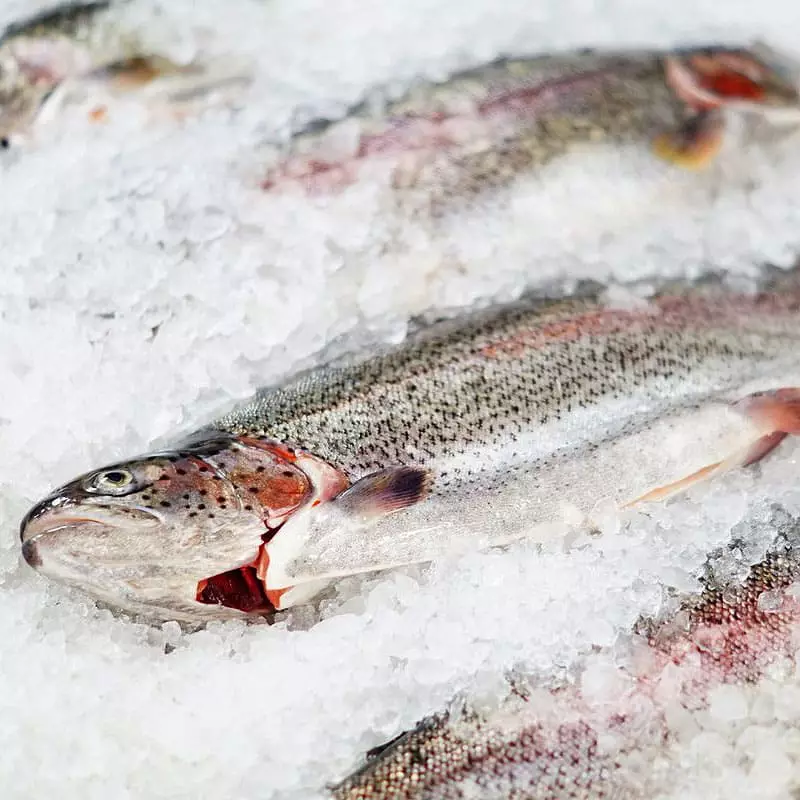 Купить форель с доставкой на дом