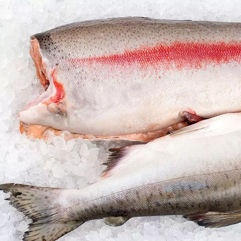 Цена форели за 1 кг