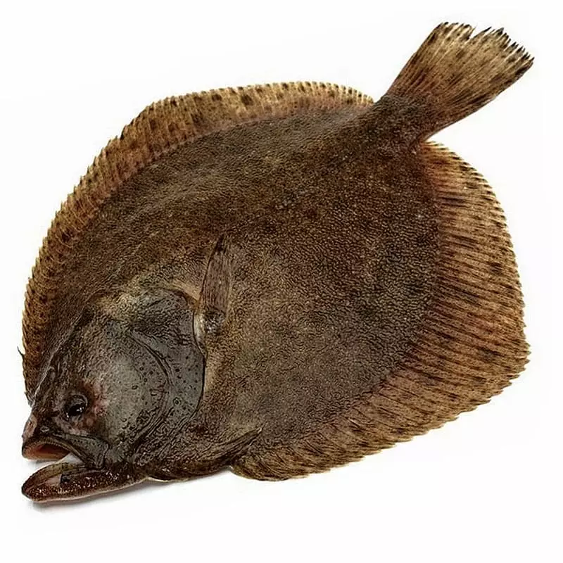 Купить камбалу сухой заморозки с доставкой