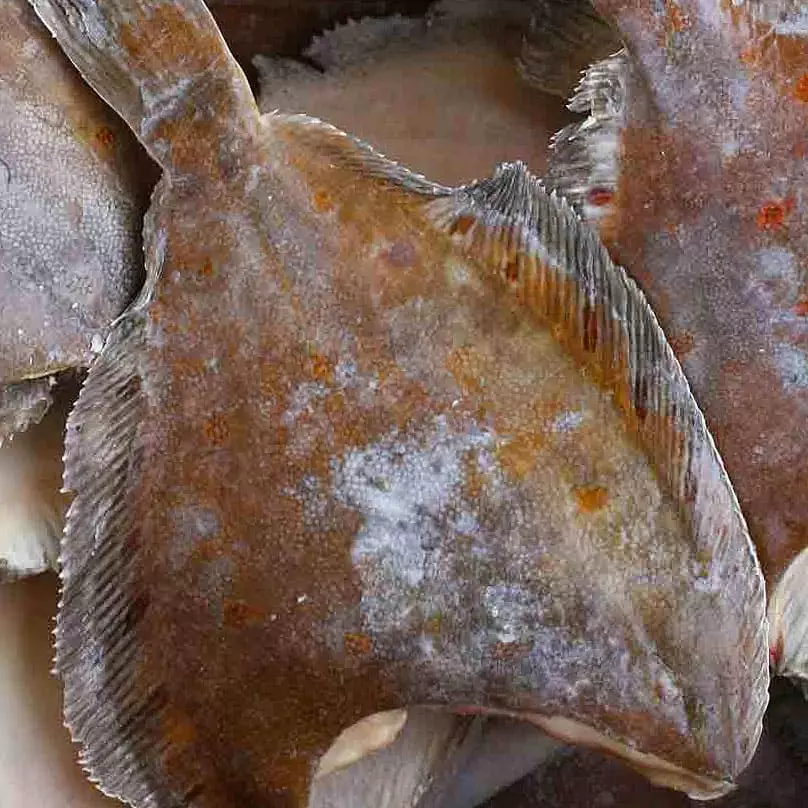 Цена на замороженную камбалу в Интернет магазине