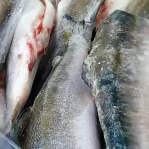 Купить кету штучной заморозки с доставкой.