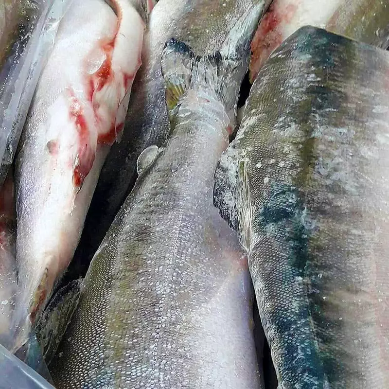 Купить кету штучной заморозки с доставкой.