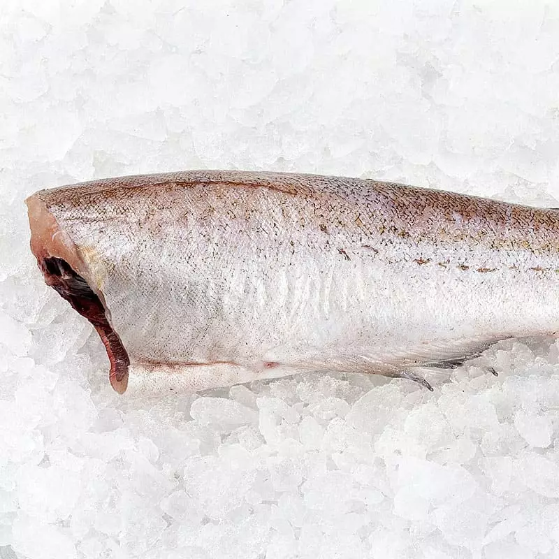 Замороженный минтай цена за 1 кг