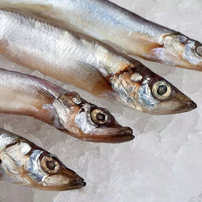 Замороженная мойва цена за 1 кг