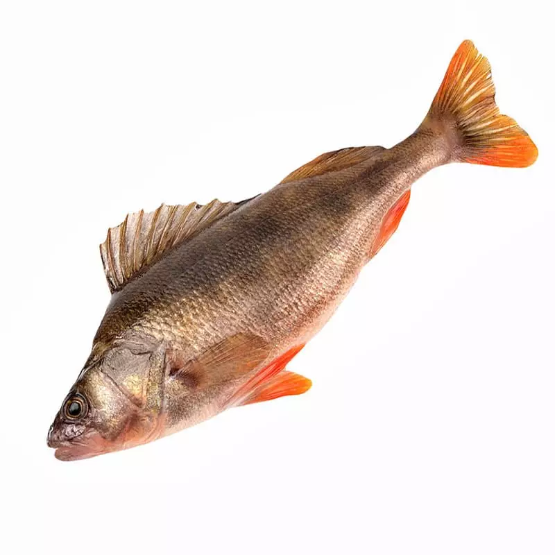 Свежемороженный речной окунь