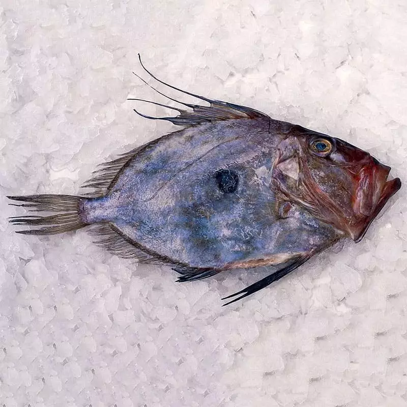 Дори цена за 1 кг.