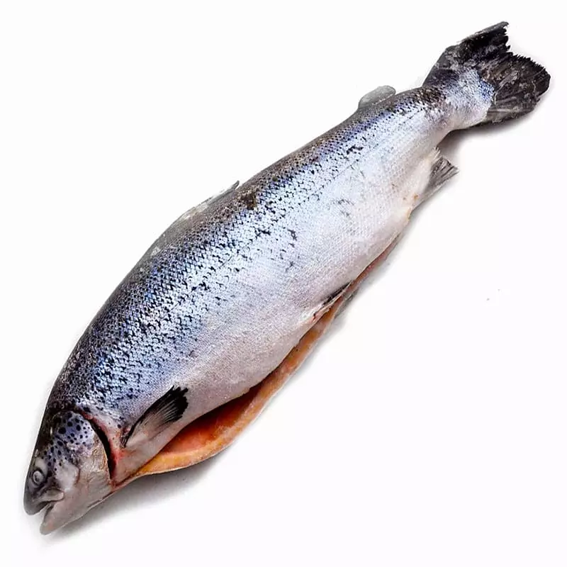 Купить семгу свежемороженую недорого