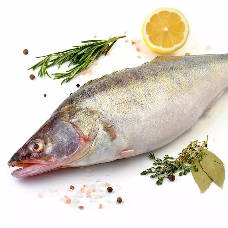 Рыба судак цена за 1 кг