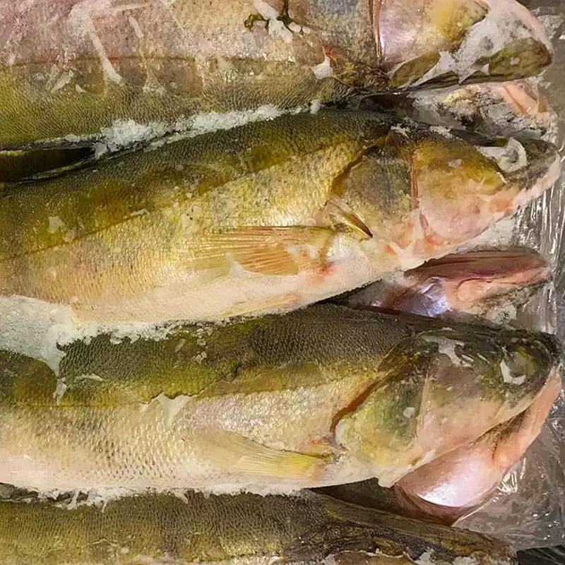 Судак замороженный цена