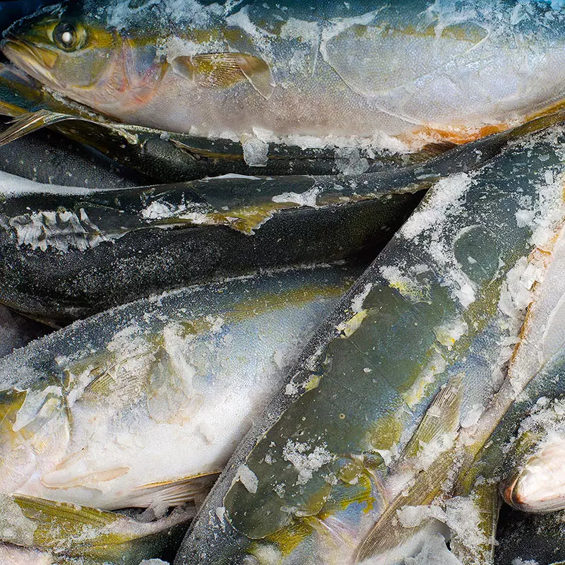 Тунец цена за 1 кг